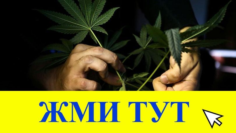 Купить наркотики в Троицке